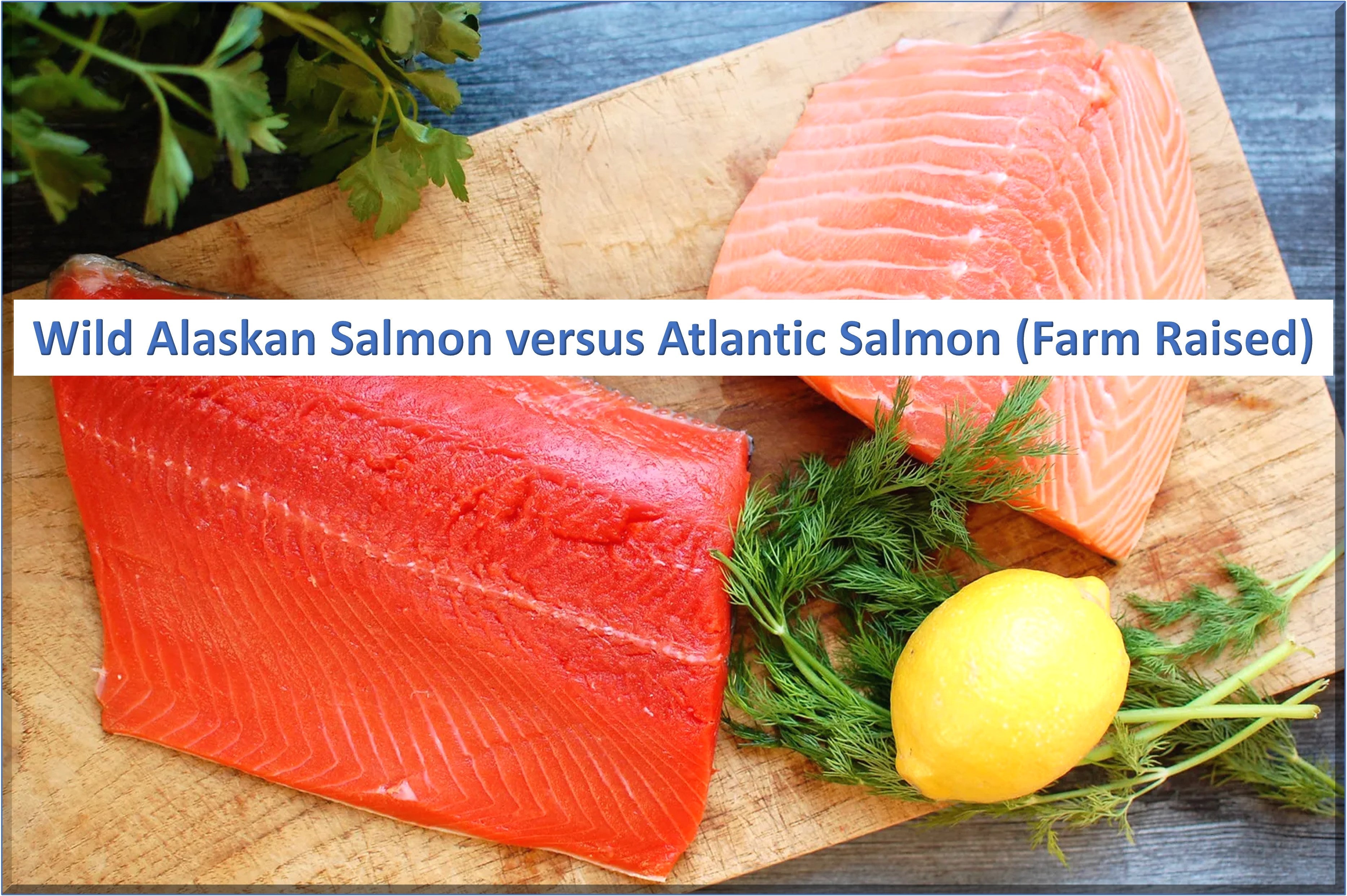 Unveiling the Truth Atlantic Salmon IS Farm Raised Salmon