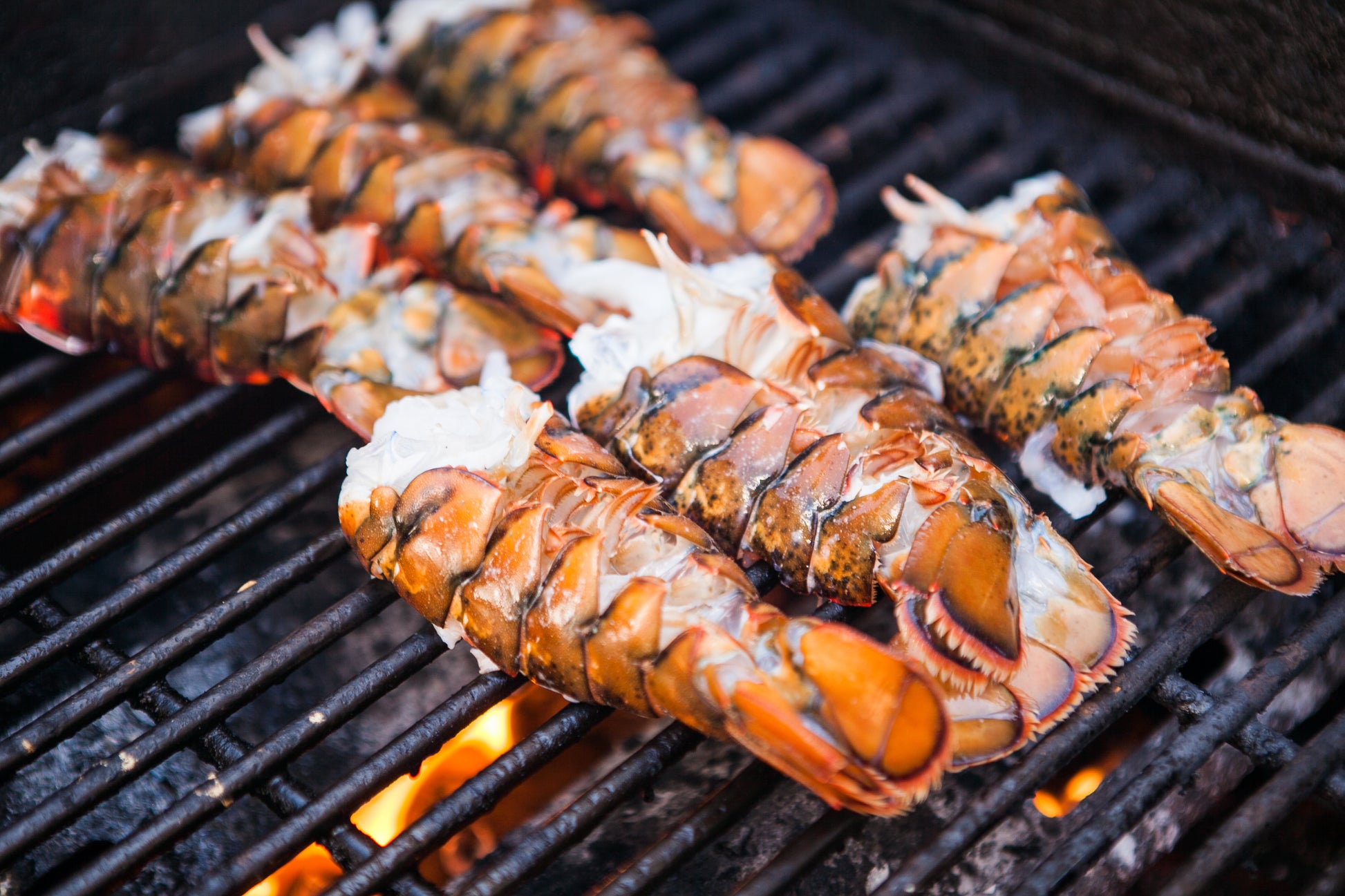 Maine Lobster Tails - Wild Tide Seafoods