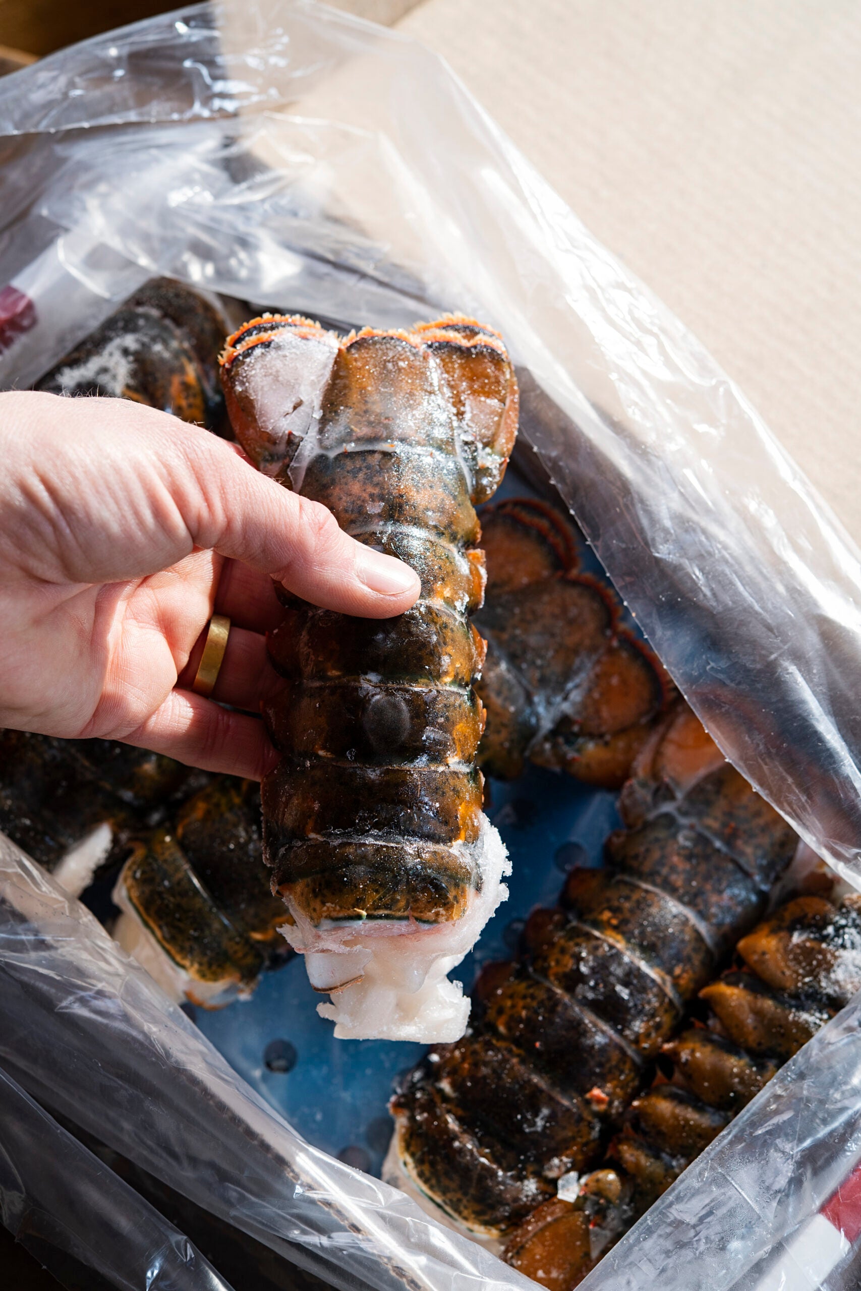 Maine Lobster Tails - Wild Tide Seafoods