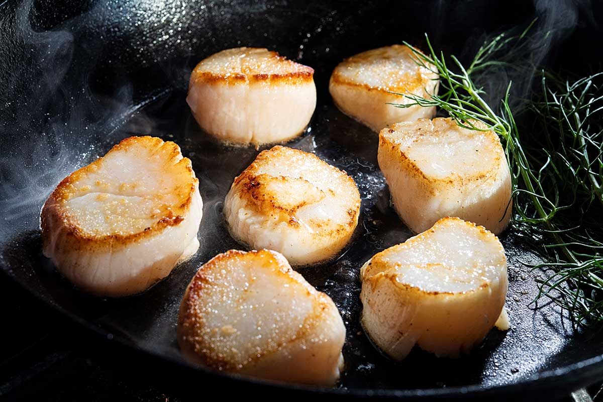 Wild Sea Scallops - Wild Tide Seafoods